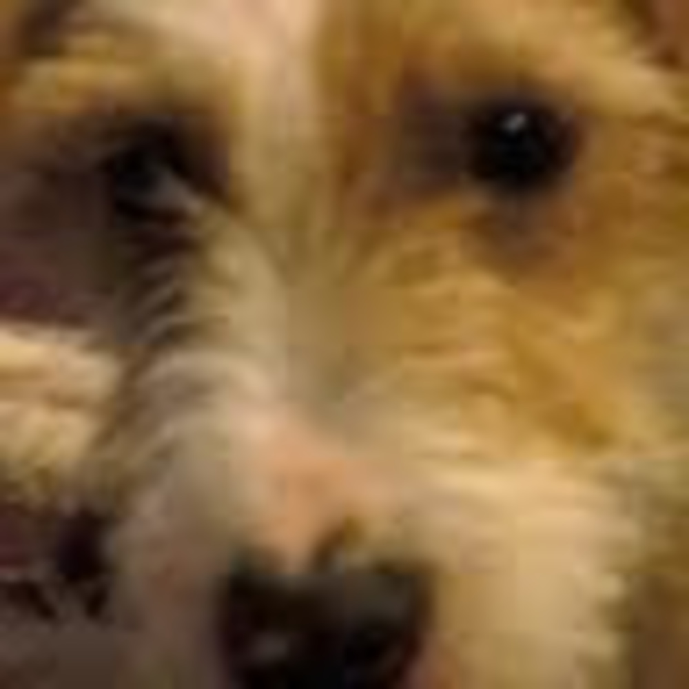 Meet your Posher, Regan